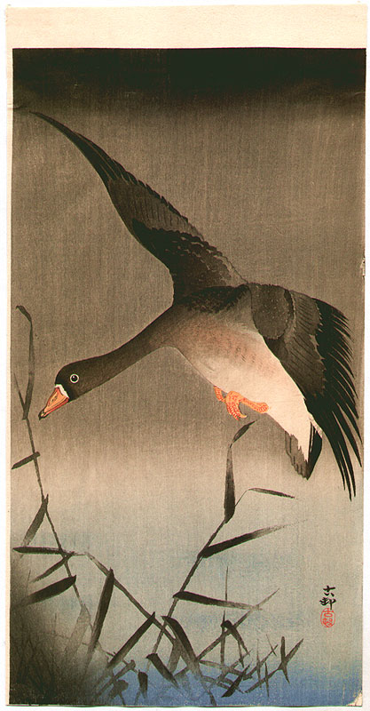 Ohara Koson - White-fronted Goose