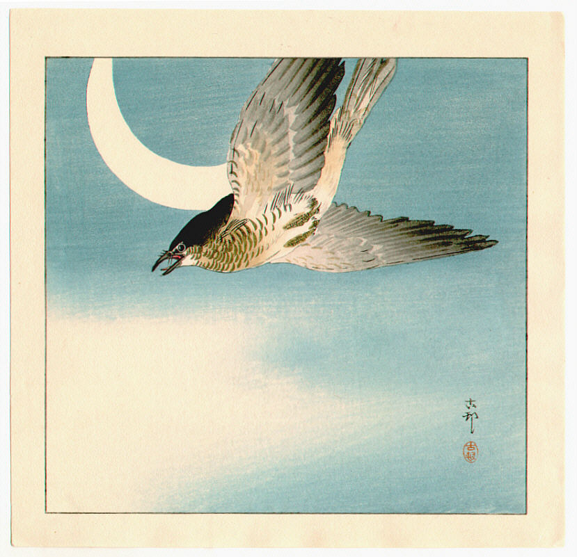 Ohara Koson - Cuckoo and the Moon