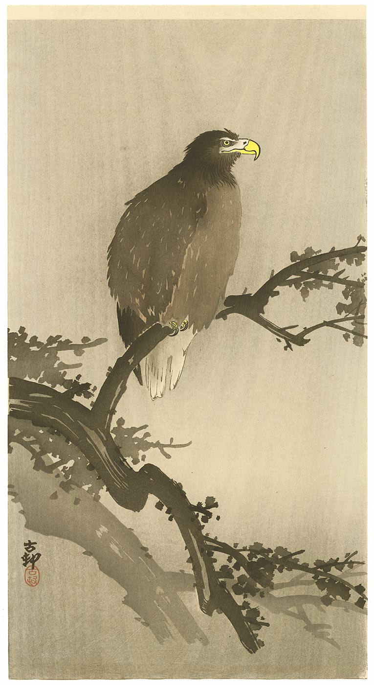 Ohara Koson - Eagle on Tree