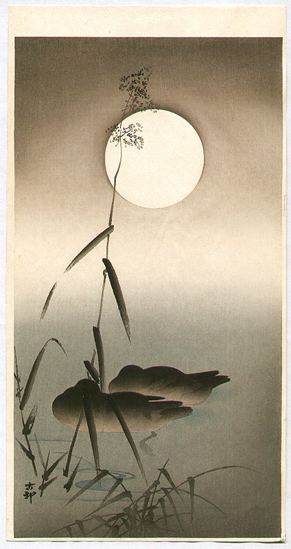 Ohara Koson - Sleeping Ducks