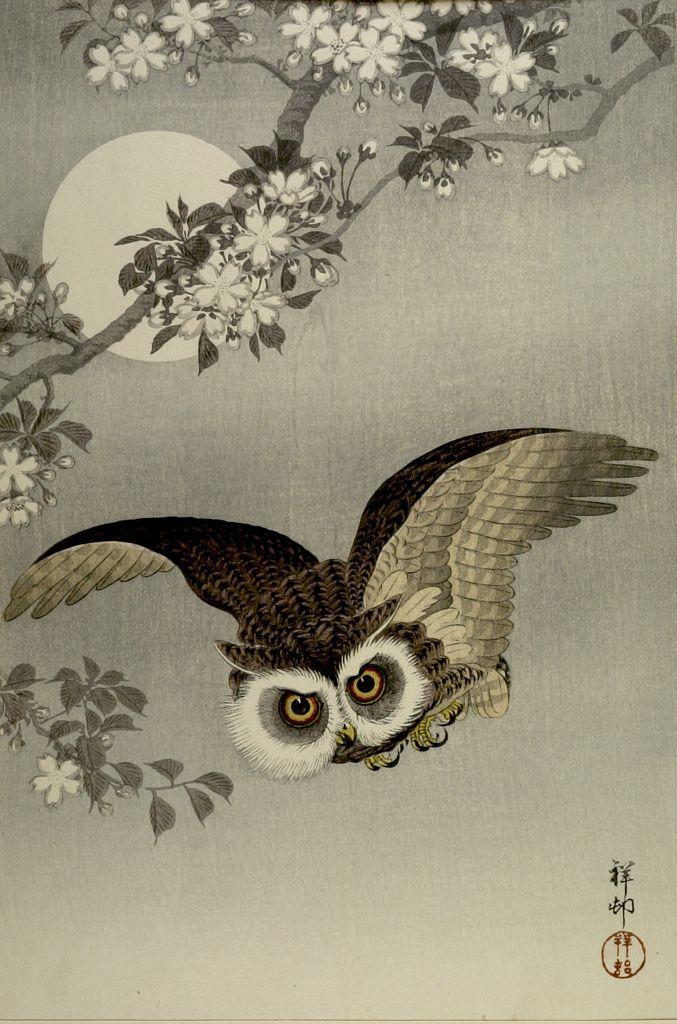 Ohara Koson - Scops Owl in Flight, Cherry Blossoms and Full Moon, Shôwa period, 1926