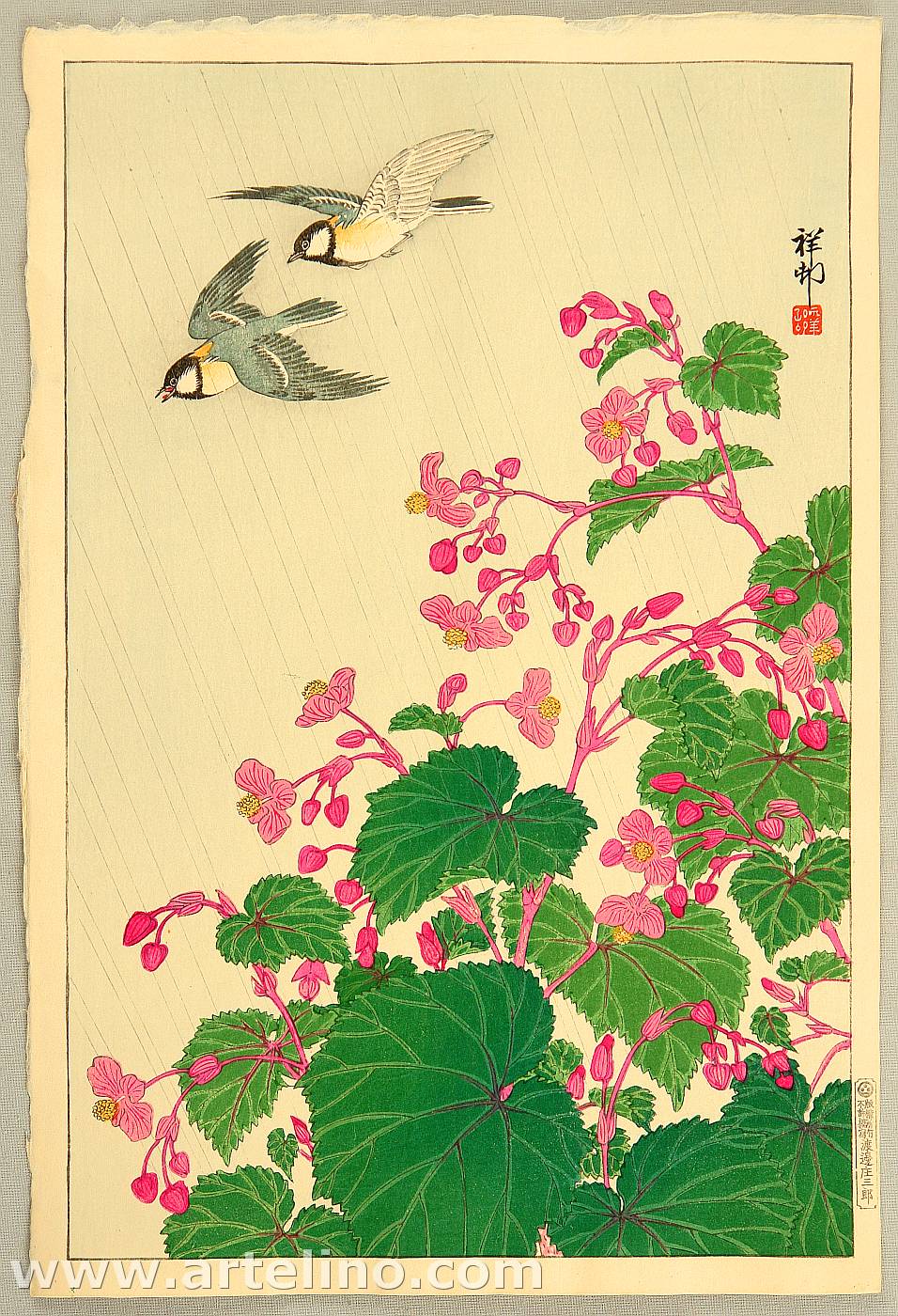 Ohara Koson - Two Birds and Begonia in Rain