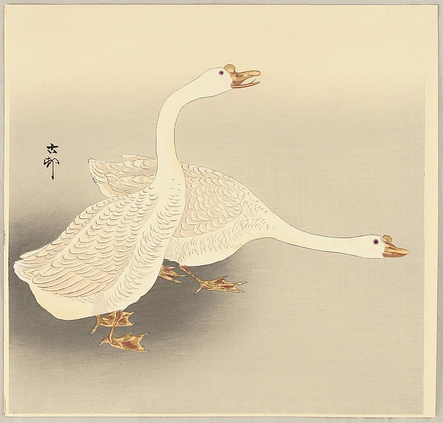 Ohara Koson - Two White Geese