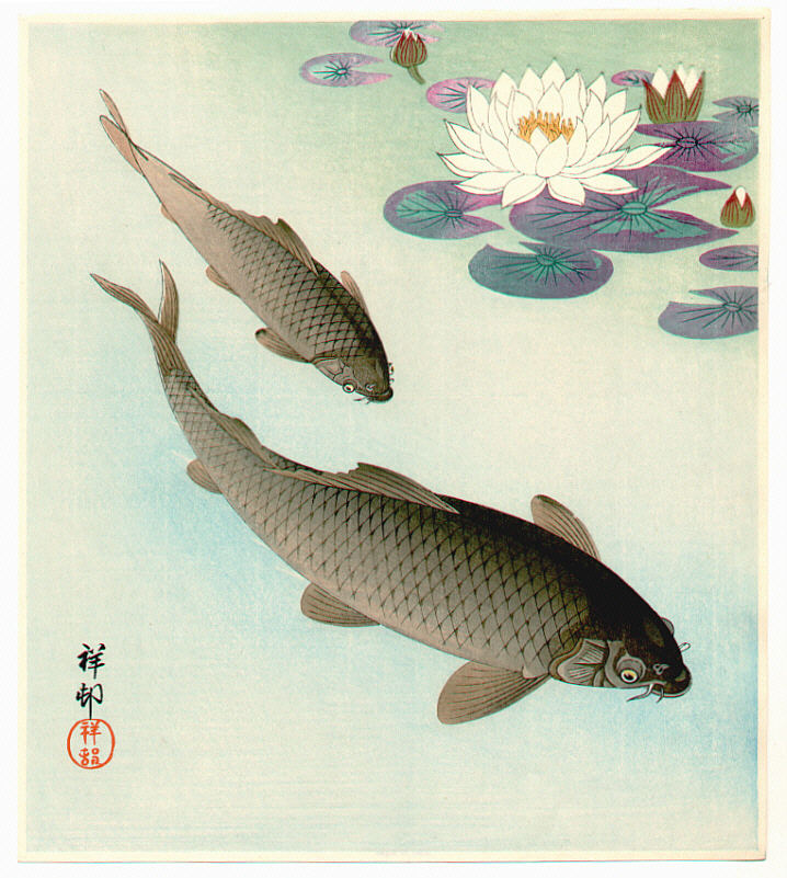 Ohara Koson - Two Carp and Water Lilly Pad