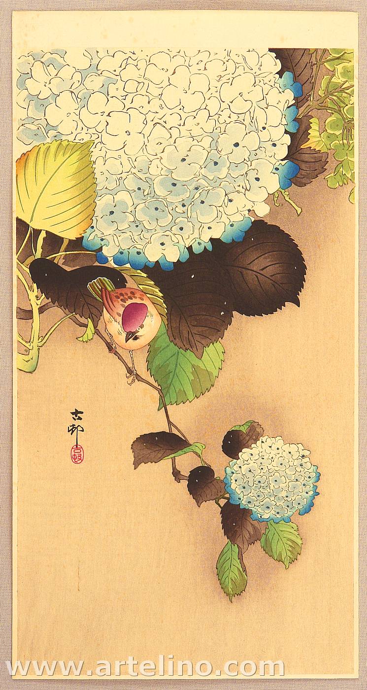 Ohara Koson - Sparrow on Hydrangea