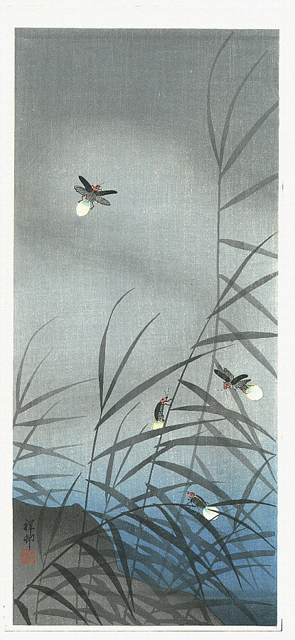 Ohara Koson - Fireflies