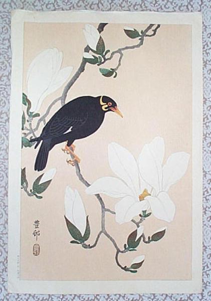 Ohara Koson - Myna bird- Indian Hill Minor and Magnolia