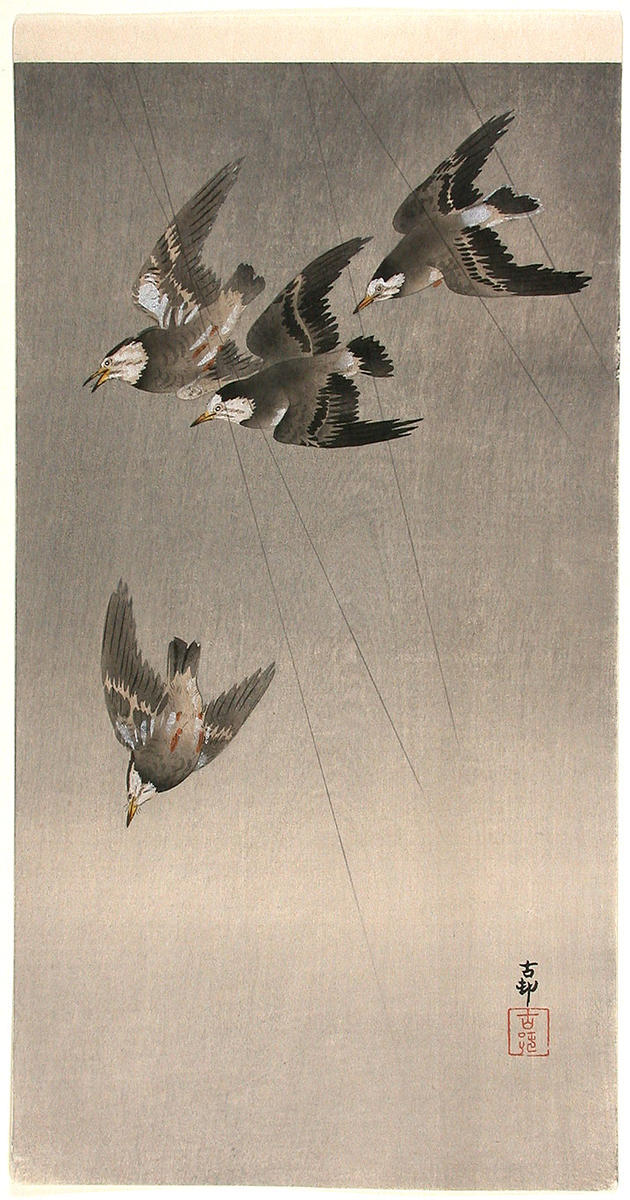 Ohara Koson - Starlings in flight