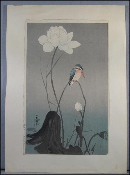 Ohara Koson - Kingfisher and flower