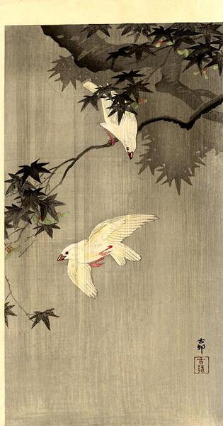 Ohara Koson - Birds of Paradise