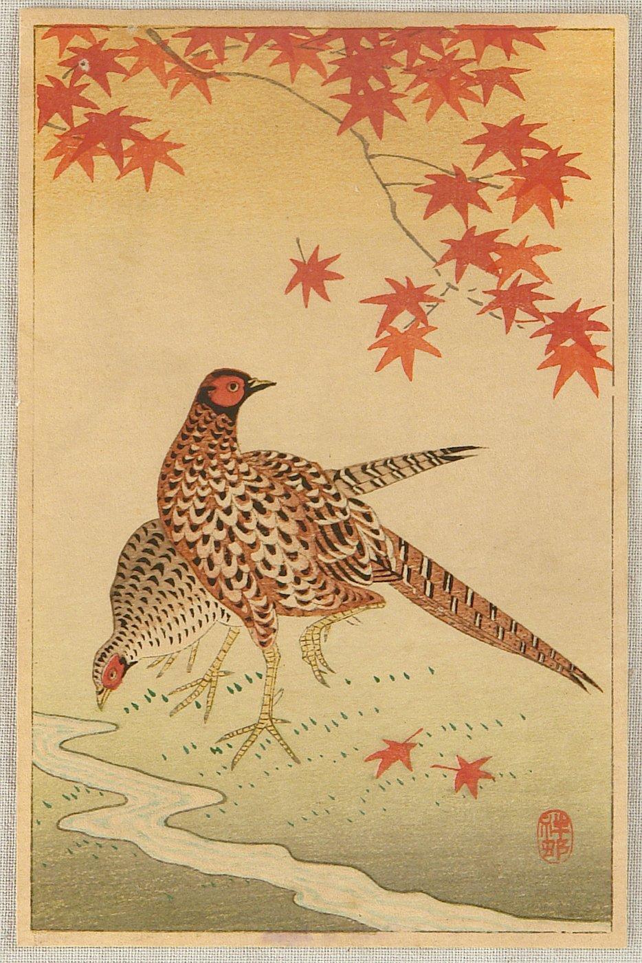 Ohara Koson - Pheasants