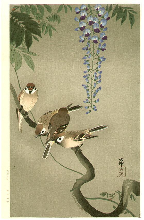 Ohara Koson - Sparrows and Wisteria (extra-large)