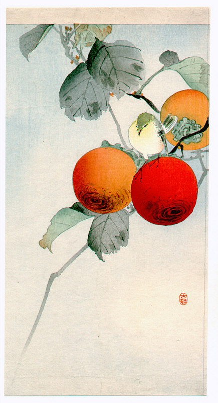 Ohara Koson - Nuthatcher atop Persimmon (Muller Collection)