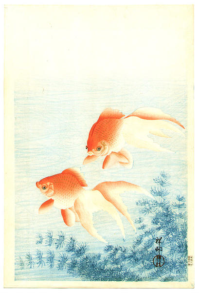 Ohara Koson - Two Goldfish and waterweed